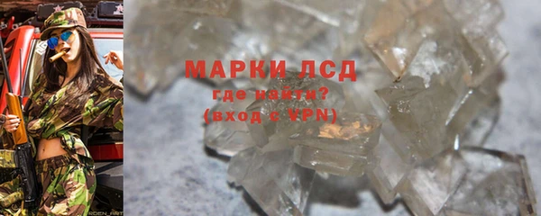 гидра Шадринск
