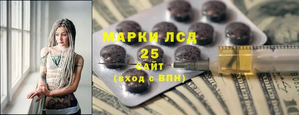 гидра Шадринск
