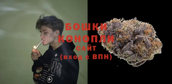 тгк Шали