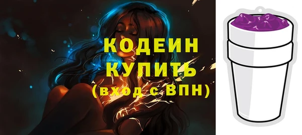 тгк Шали