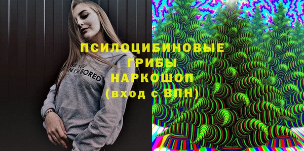 гидра Шадринск