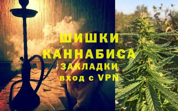 гидра Шадринск