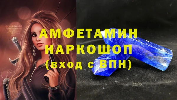 гидра Шадринск