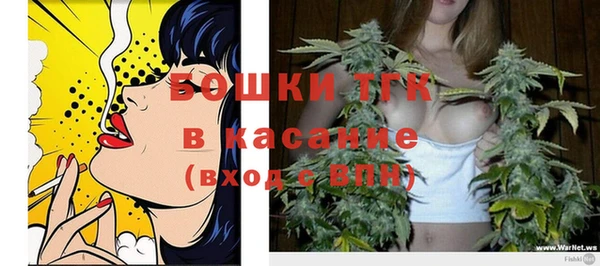 тгк Шали
