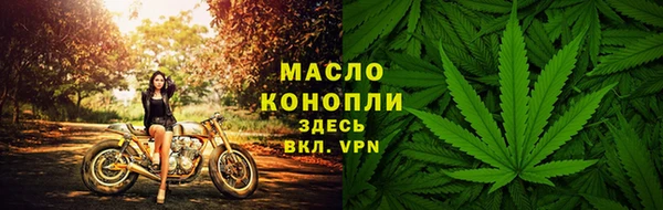 тгк Шали