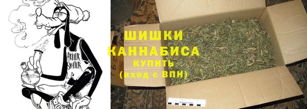 тгк Шали