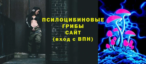 тгк Шали